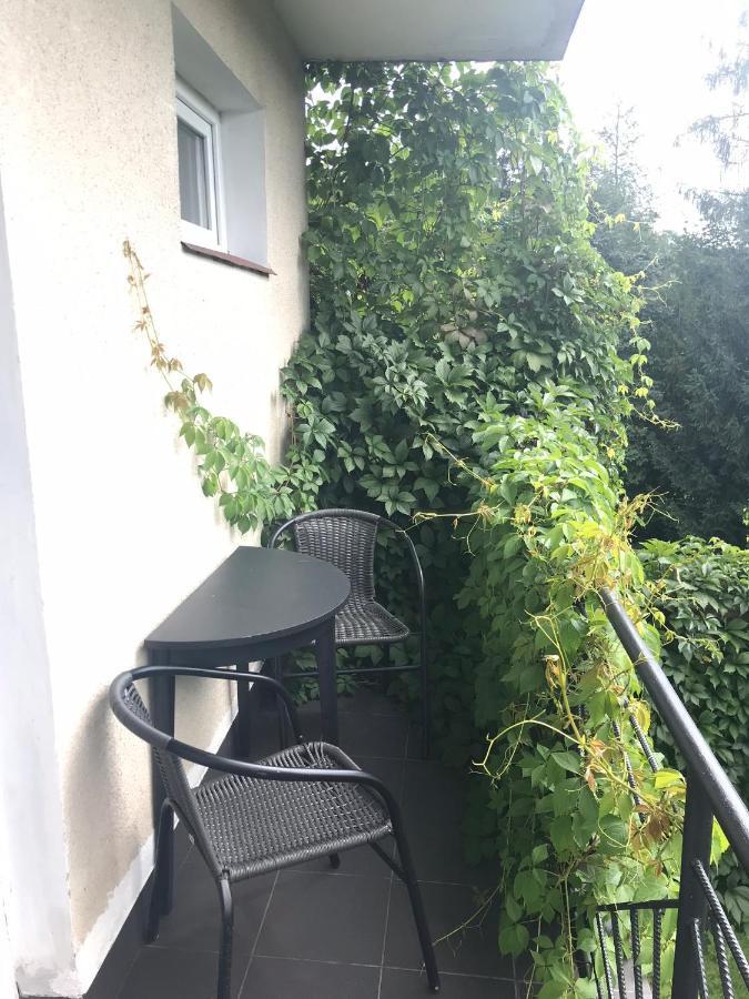 Noclegi Nad Potokiem Czarna  Exteriér fotografie